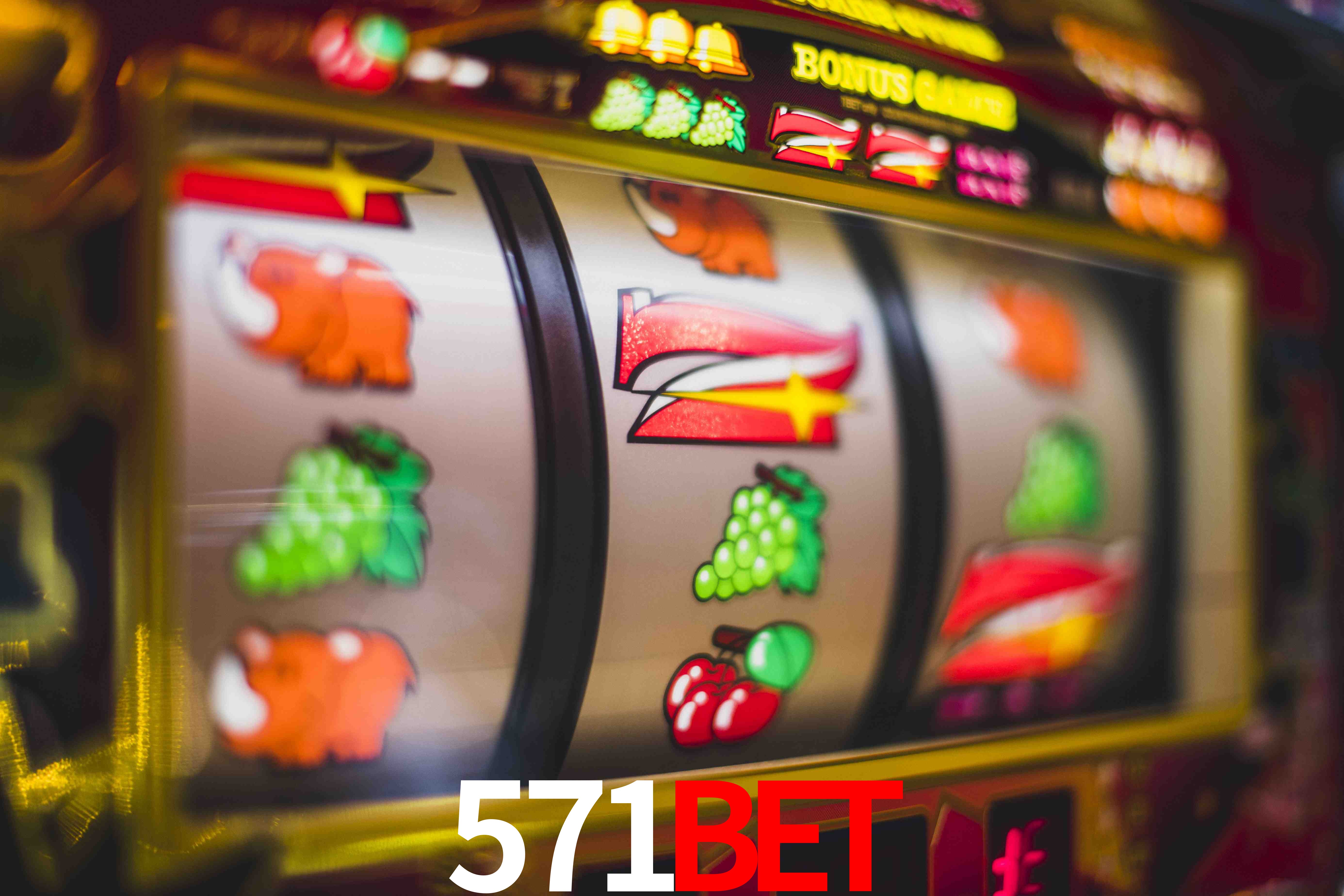 Crash Games Statistics 571bet